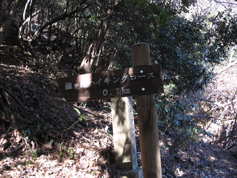 20170126hike (283)